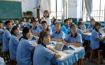 小学二年级半学期工作总结精选6篇
