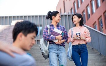 学校2024年少先队工作计划6篇