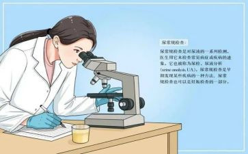 尿常规工作总结最新5篇
