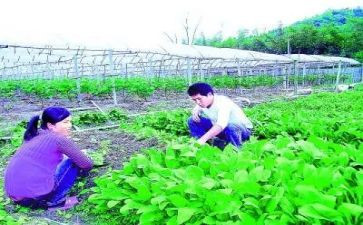 2024农技人员培训心得体会5篇
