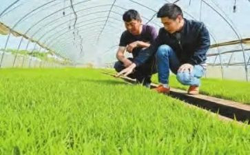 农技个人总结参考6篇
