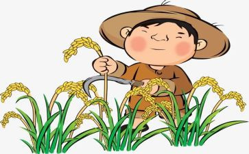农民画活动总结8篇