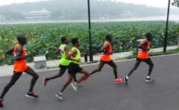 小学二年级体育走和跑教案优质5篇