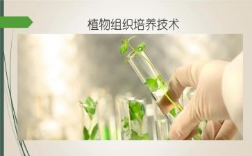 小学双培养工作计划8篇