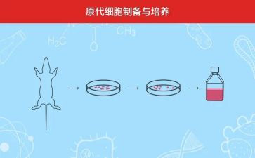 2022培养青年教师总结7篇