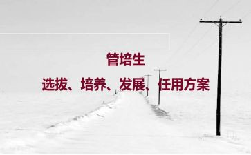 培养青年青年教师工作总结优质5篇