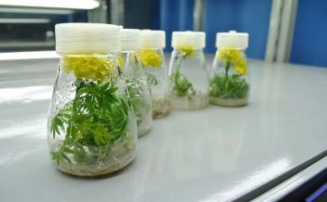 培养班工作总结优质7篇