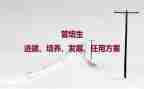 培养青年青年教师工作总结优质5篇