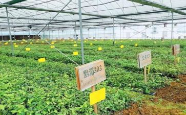 新型农民培育工作总结8篇