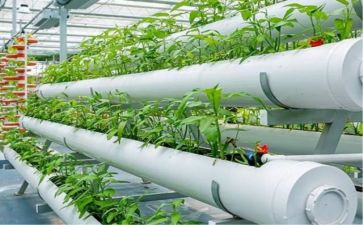 弘扬和培育民族精神活动总结7篇