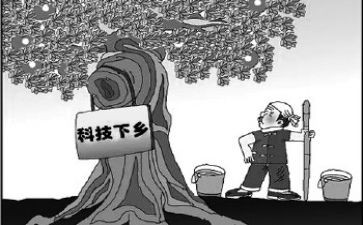 市脱贫工作总结参考5篇