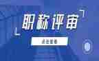评审表个人总结范文6篇