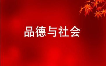 食品社区安全年终总结6篇