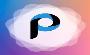 p图的作文800字通用7篇