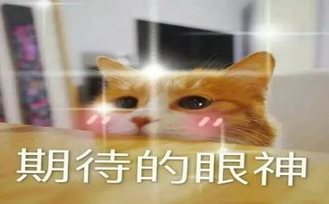 我期待的作文400字8篇