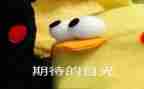 期待____的作文600字6篇