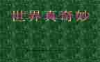 我奇妙的家作文300字精选6篇