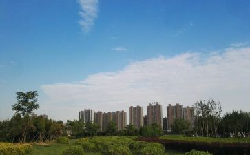 秦都区自然遗产日活动方案5篇
