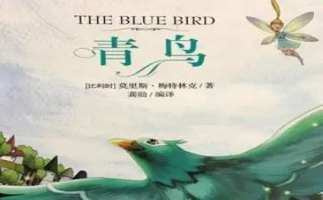 青鸟读后感精选8篇