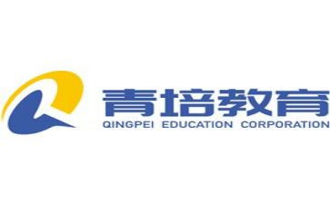 青培教师总结与反思模板8篇