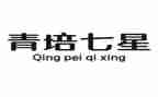 青培教师总结和反思6篇