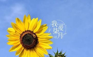 幼儿园小班七月份月总结8篇