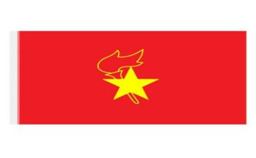 看旗帜观后感8篇