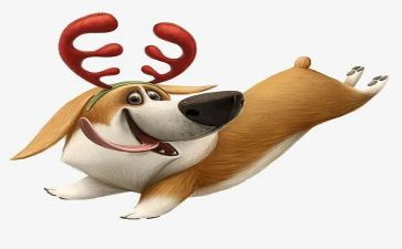 猎犬读后感模板7篇