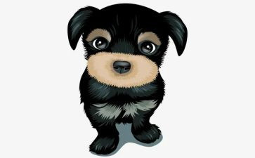 犬只防疫工作总结7篇