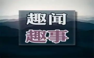 五一趣事作文300字6篇