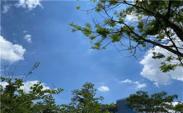 将热爱写进生活作文7篇