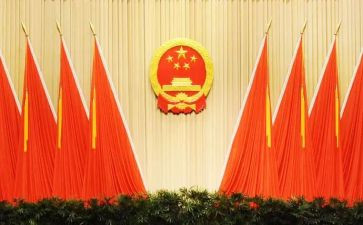 2023年区人大述职报告7篇