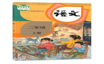 幼儿园个人教师总结及计划5篇