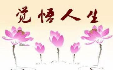 茶与人生作文优秀8篇