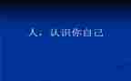 幼儿园小班认识鱼的教案精选7篇