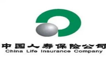人寿新人培训心得5篇