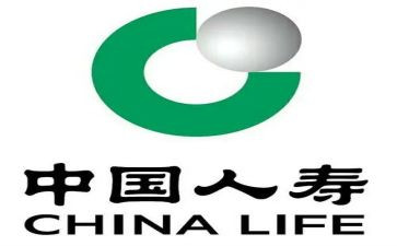 人寿保险个人总结8篇
