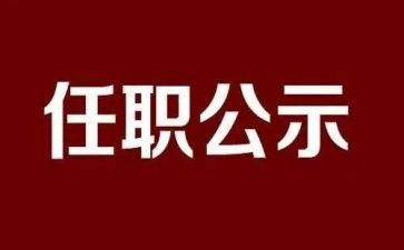 任职满工作总结7篇