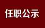 任职满工作总结7篇