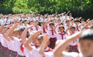 学生入队申请书8篇