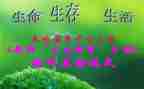小三生活老师学期总结7篇