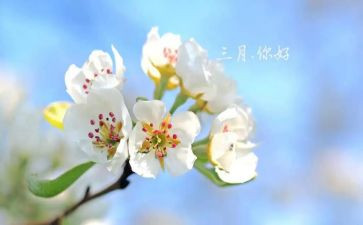 个人三月总结精选5篇