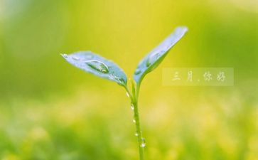 幼儿园中班三月工作总结通用5篇