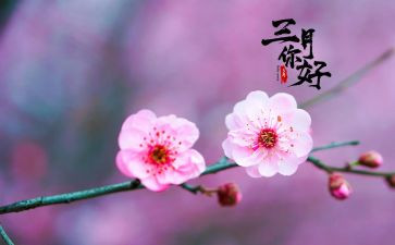 幼儿园三月老师月总结8篇