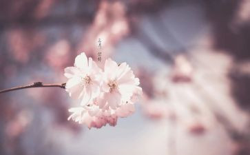 教师三月的工作总结精选6篇