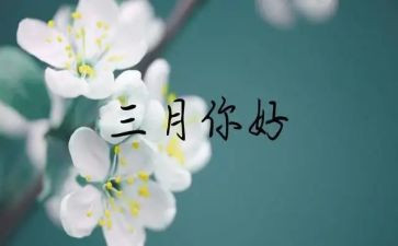 三月雷锋活动方案7篇