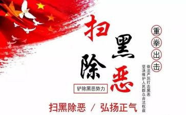 扫黑除恶专项斗争工作总结8篇