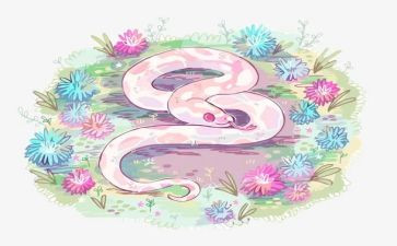 蛇的教学教案通用7篇