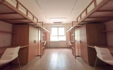 舍管的工作总结6篇