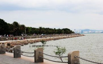 写深圳作文最新8篇